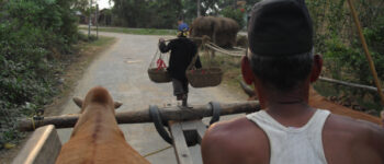 Chitwan