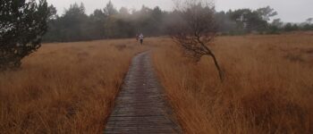 2013 Tis Voor Niks Loop