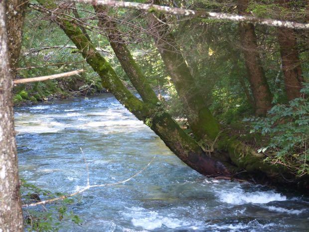 Wandeling langs de Dranse