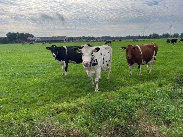 OLAT wandeldagen 2023