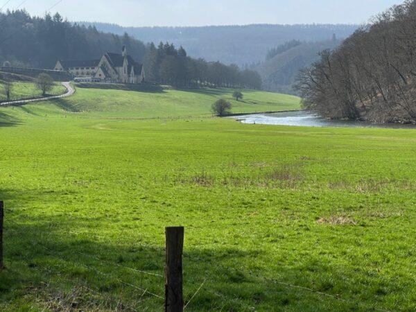 Bouillon