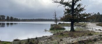 2024 Spoordonkse wandeltrail