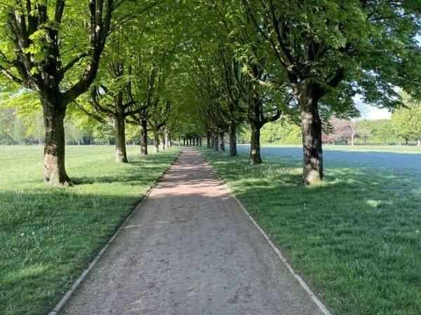 Philips van Lenneppark