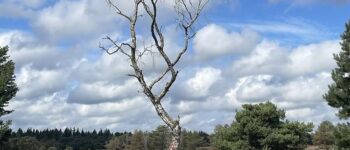 2025 OLAT wandeldagen